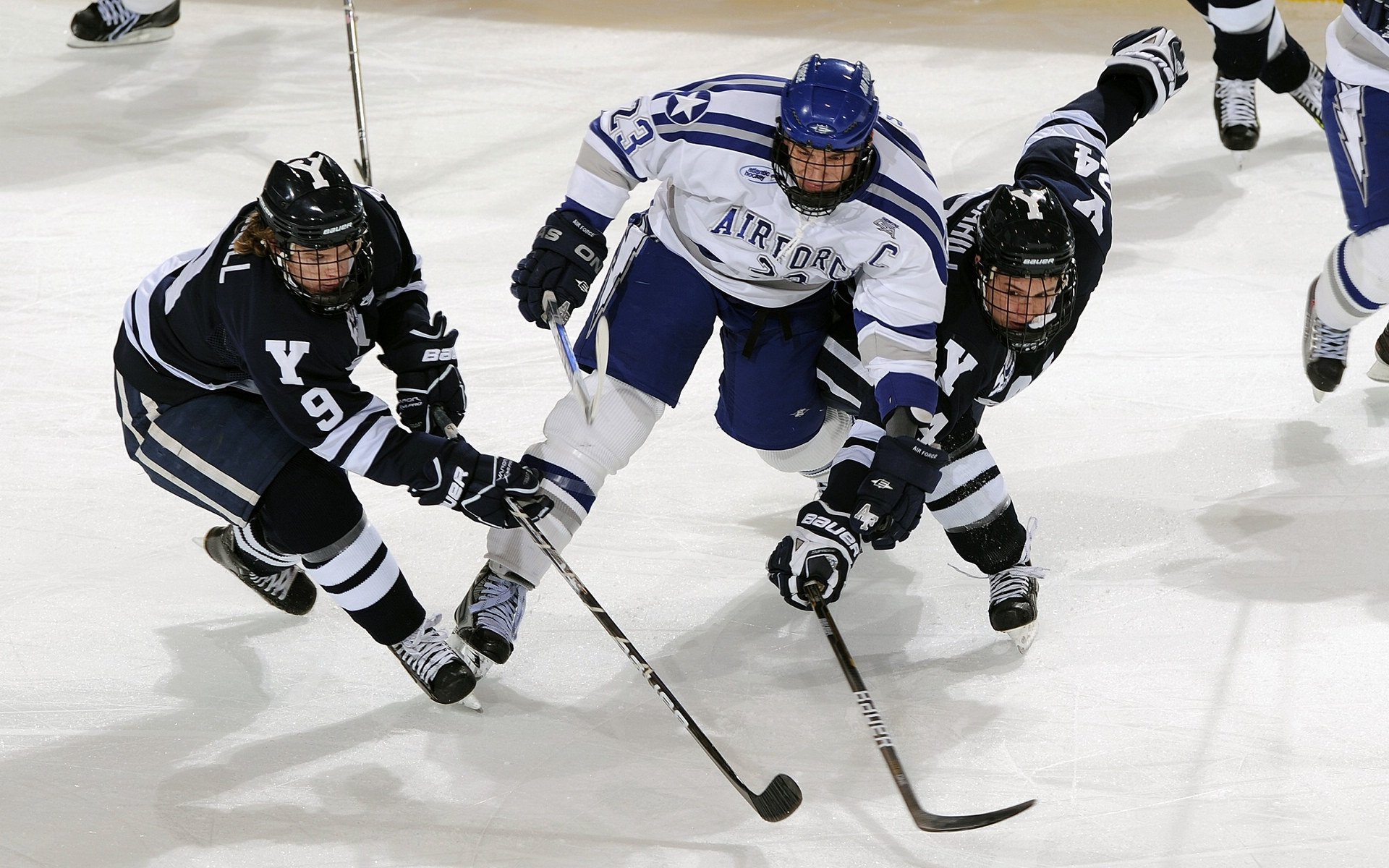 中国篮球教练员教学方法现代化转型研究，篮球教练员的基本素养