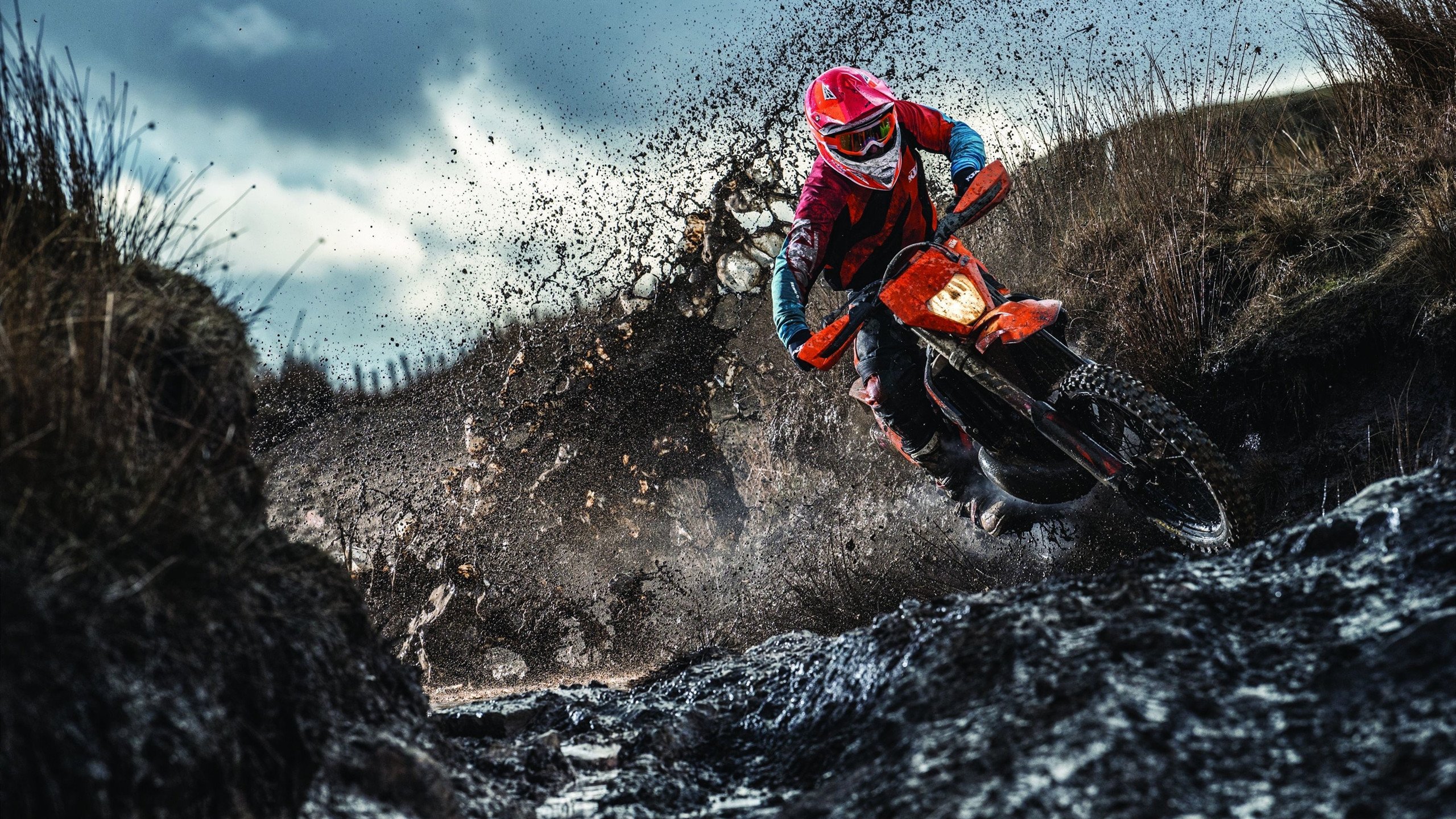 中国篮球教练员教学方法现代化转型研究，篮球教练员的基本素养