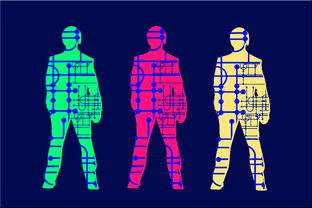 乐鱼足球官网-高校体育专业人才培养质量保障体系，体育人才培养方案心得体会